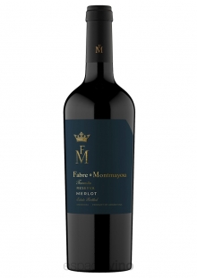 FABRE MONTMAYOU TERRUÑO MERLOT X 750 CC