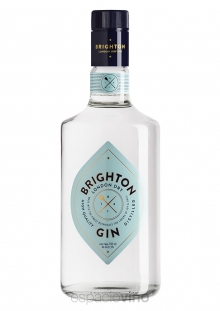 GIN BRIGHTON X 750 CC