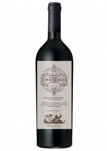 EL GRAN ENEMIGO GUALTALLARY SINGLE VINEYARD CABERNET FRANC 2019 X 750 CC